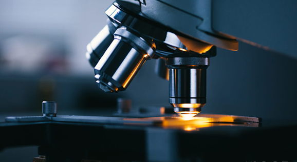 008PG国际(中国区)-官方网站